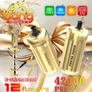 Bang Blaze 42000 Puff